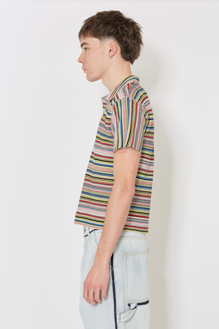 Polo Shirt - Multicolored