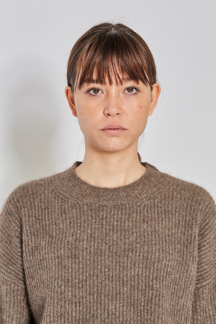 Long Slv Top - Brown